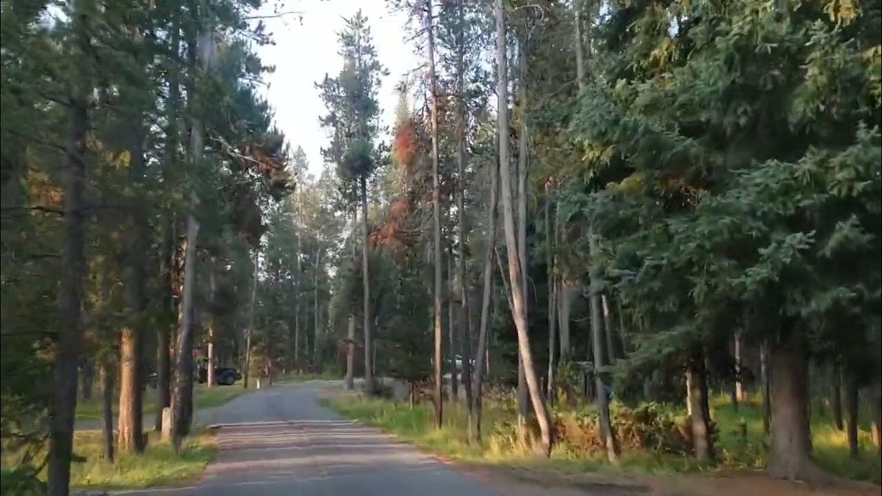 Bakers hole Campground, West Yellowstone, Driving the loop YouTube