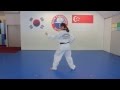 Red tip belt pattern by hyun tkd academy