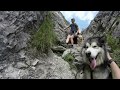 Crossing the Alps with 13 Dogs
