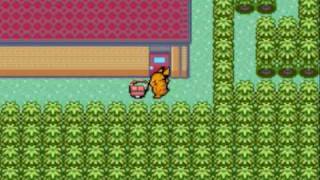 Pokemon Hack 6