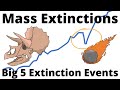 Mass Extinction Events Quiz