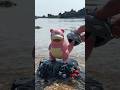 바다낚시 하는 야도란… #3dprinting