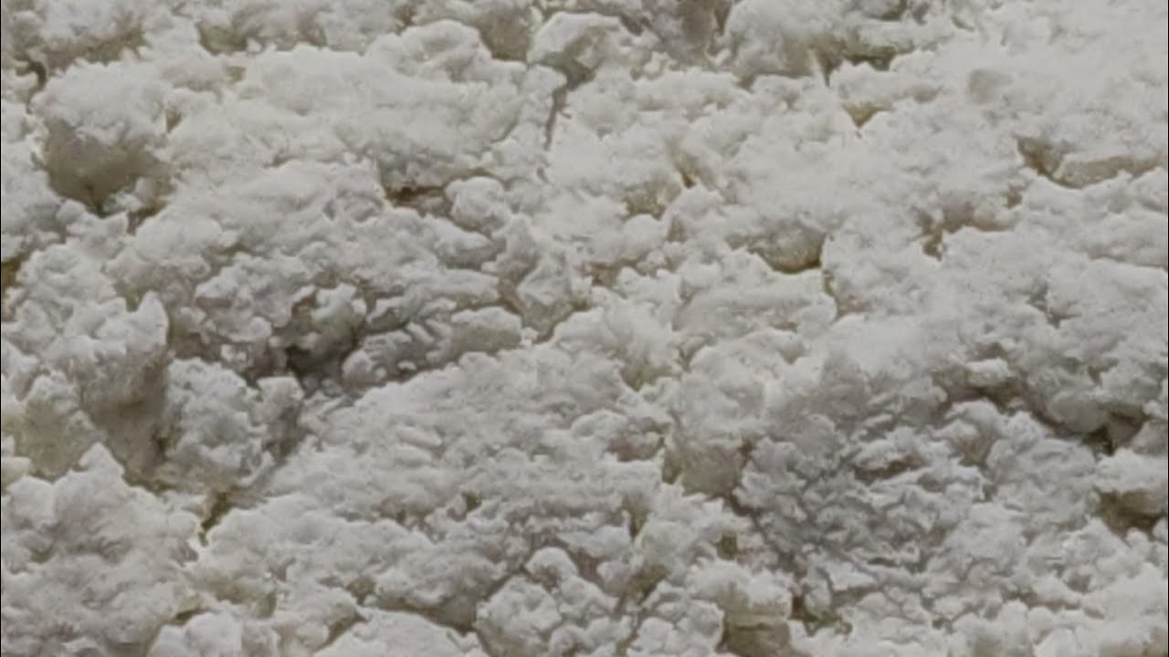 How to make Ricotta cheese  