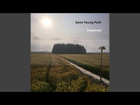 Children S Playground 