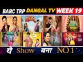 Dangal TV Barc Trp of Week 19 (2026) : Pati Brahmachari, Mann Shundar, Pati Anari