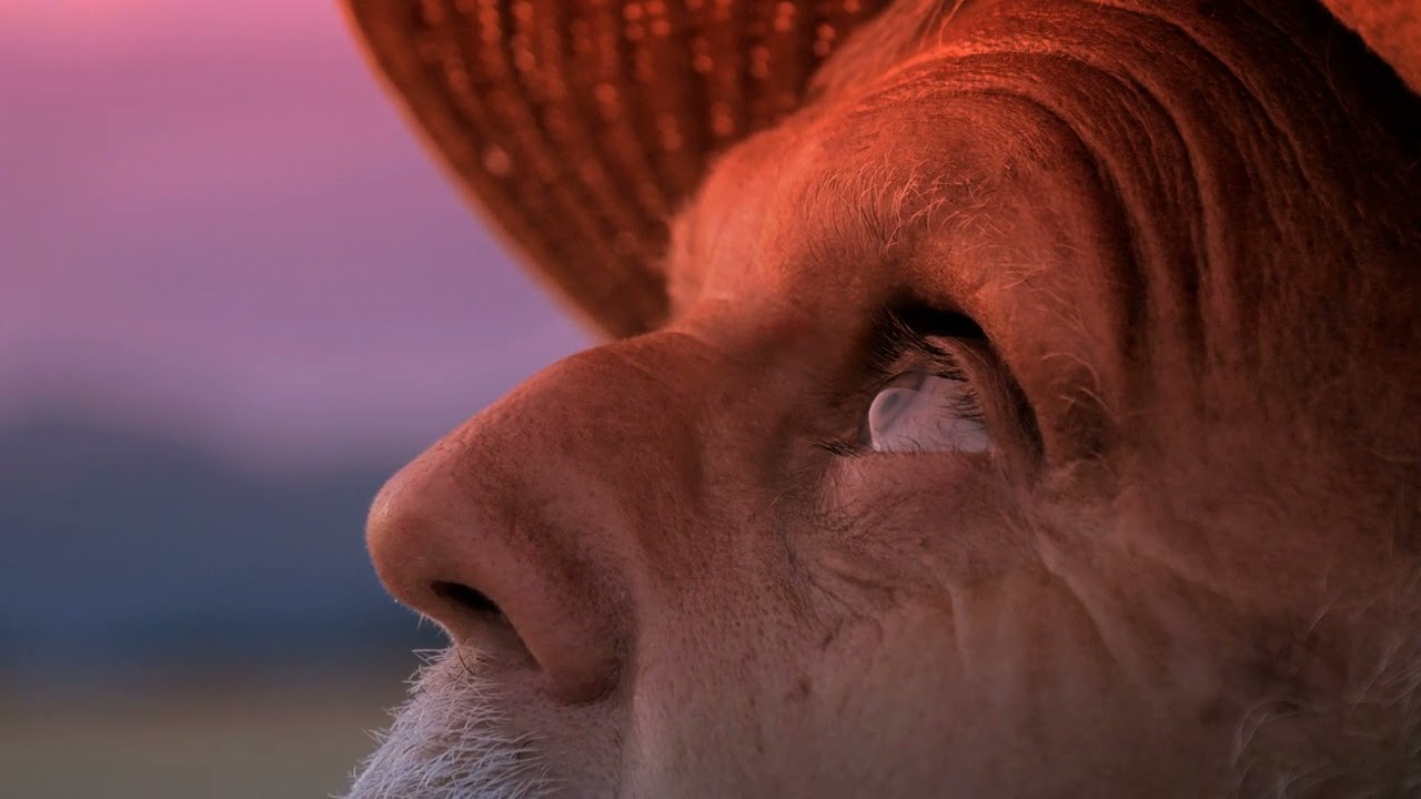 Stoneface & Terminal with Robert Nickson - From The Sun