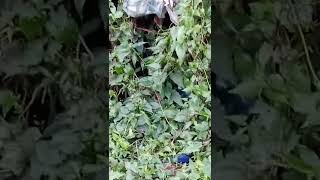 VID 20220216 0908011