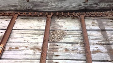 New Idea manure spreader