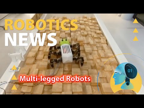 a Bioinspired Advanced Neural Control for Autonomous Walking Robots