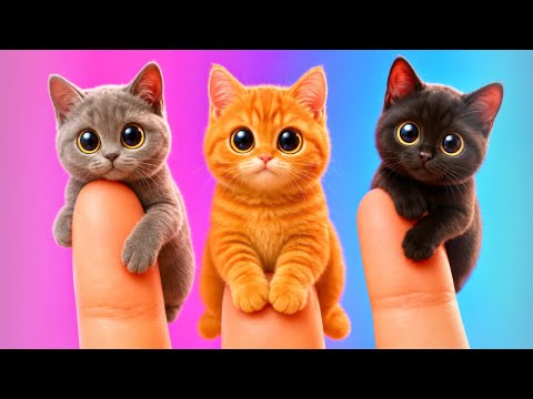 Best Gadgets and Hacks for Pet Owners 😍 Kitties & Doggies Want to Have Fun!