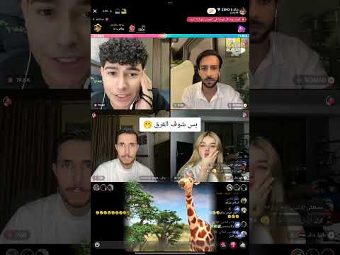 جوله صافي وزيكو