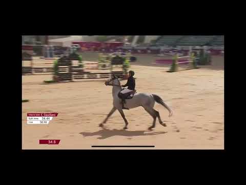 Genesis de Talma 145 CSI5***** Doha