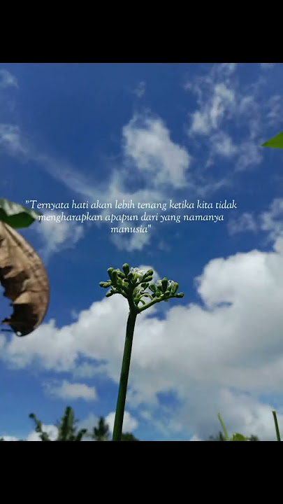 ketenangan hati || story whatsapp #videoshort #katakata #storywa #katamutiara
