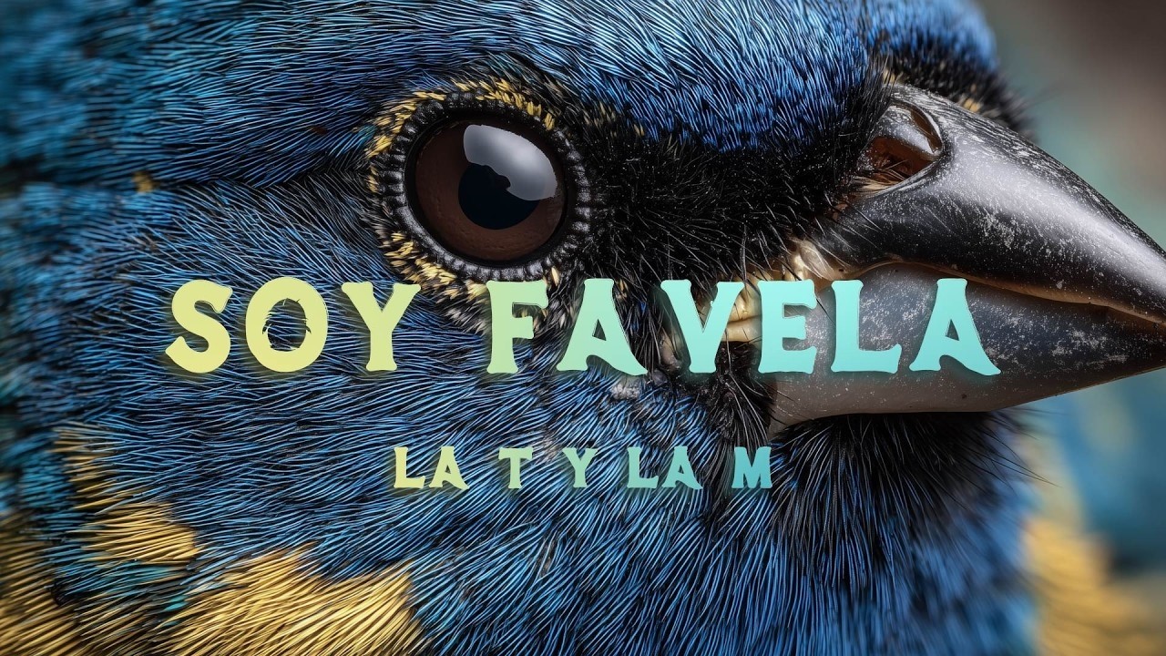 La T y La M - Soy Favela
