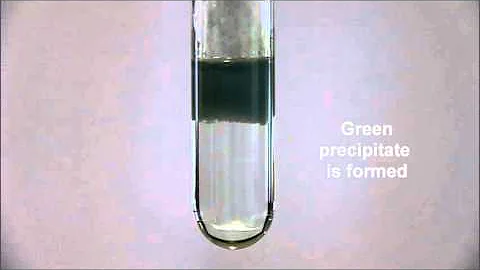 Test for Cation: Test for Iron (II) ion with Aqueous Ammonia