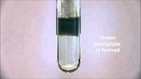 Test for Cation: Test for Iron (II) ion with Aqueous Ammonia
