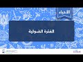 الفترة الضوئية الأحياء استجابة النبات للضوء 