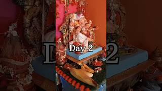 Day 2 of Ganpati Bappa ❤️ minivlog newvideo shorts