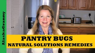 Pantry Bugs How To Get Rid Of Pantry Bugs Natural Solutions Keep Weevils Out Of Food