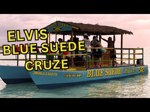 The Buze Cruze