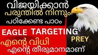 motivational story of eagle Malayalam Eagle rebirth Malayalam affirmation tips.sudeesh. kp speech