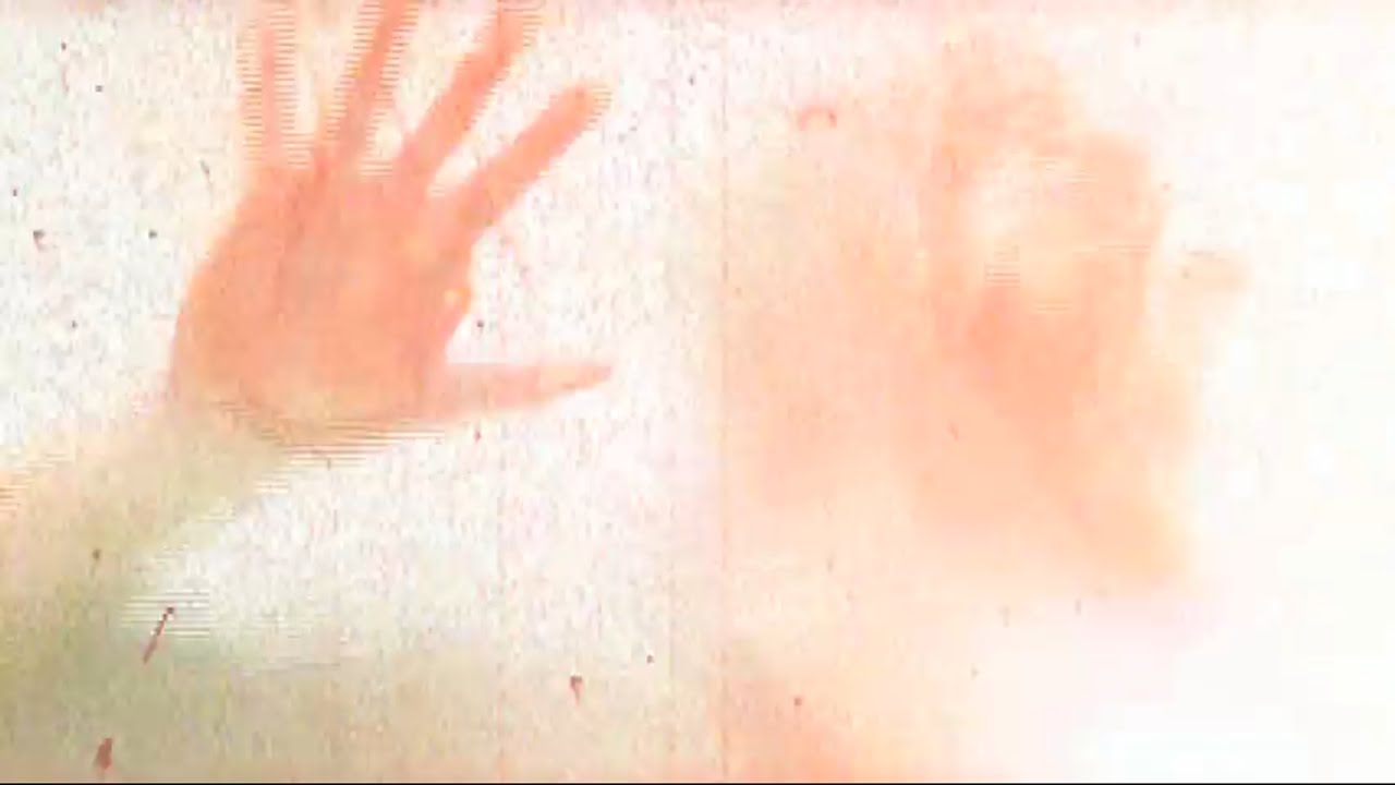 ratgeber leitfaden Franck Thilliez - 