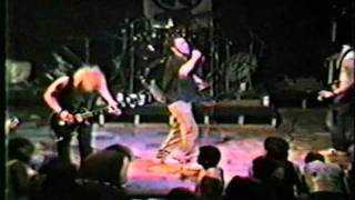 Watch Dri War Crimes video