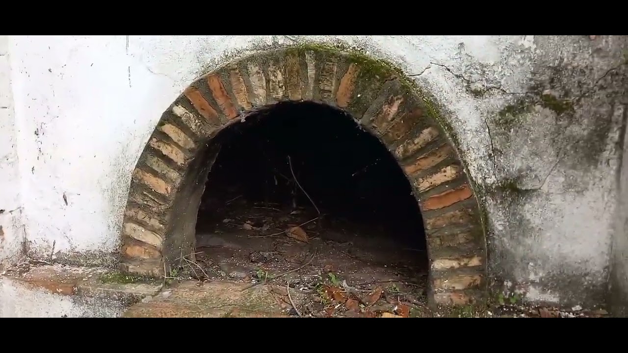 DEHESA (ABANDONADA) DEL DUQUE EN VILLARRASA (HUELVA).