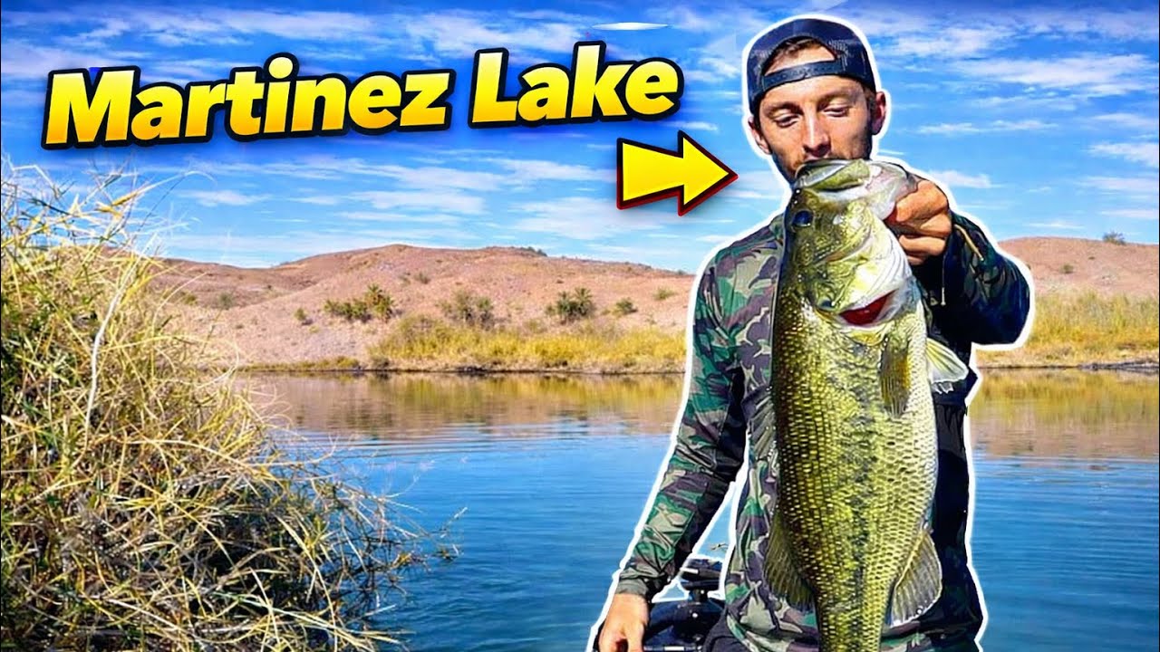 Ловля крупного окуня на реке Колорадо!!