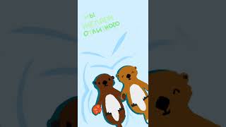:     // . anastasionmed