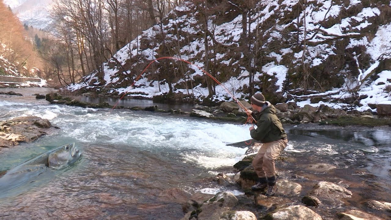 Pecanje mladice u Sloveniji na reci Kupi-varaličarenje i mušičarenje |Fishing hucho hucho FULL VIDEO