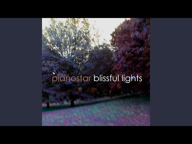 Blissful Lights