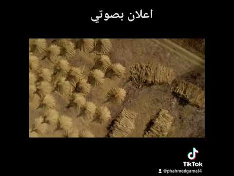 فويس اوفر باللغة العربية الفصحى لناشيونال جيوغرافيك بصوتي