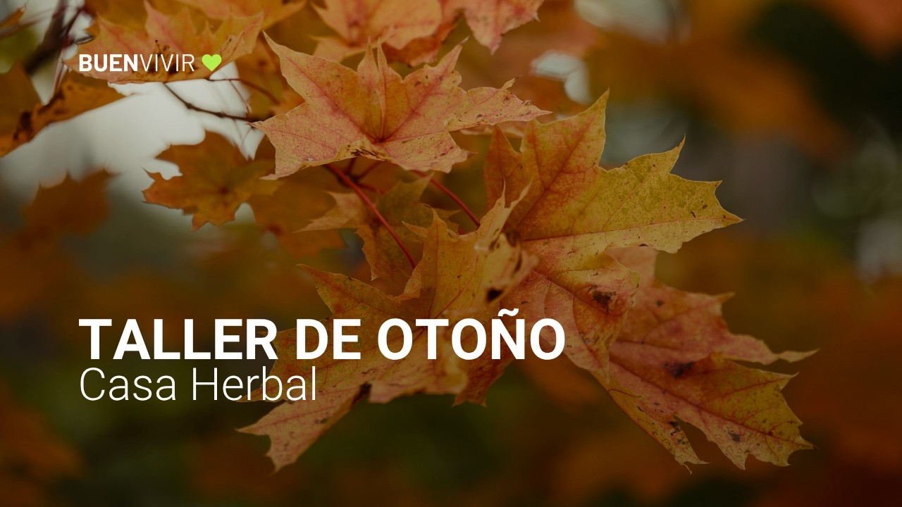 TALLER DE OTOÑO - Casa Herbal - Monica B. Santa María - BUENVIVIR💚 05/05/26 Canal 4
