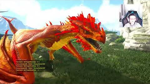 How To Summon all the Wyvern