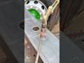 Metal Plate Cutting Process Using a Cutting Machine (Oxy-Acetylene Cutting) #shorts