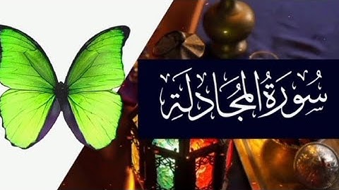 SURAH AL MUJADLAHسورة المجادلة فضيلة الشيخ/ فهد عزيز نيازي حفظه الله ورعاه