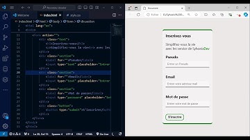 Tutoriel: Créer un formulaire élégant en HTML-CSS pour débutants