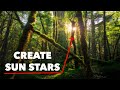 How to create a sunstar in your photos