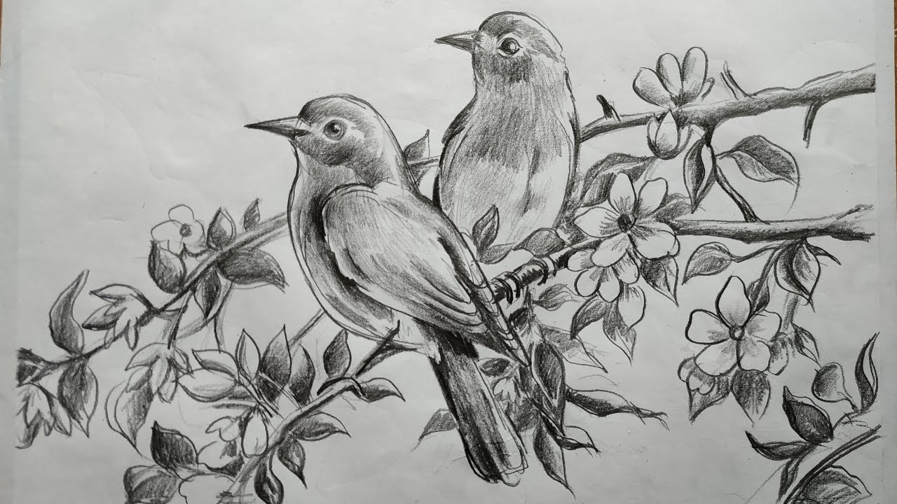 Birds Flying - Drawing Study by LethalChris on DeviantArt