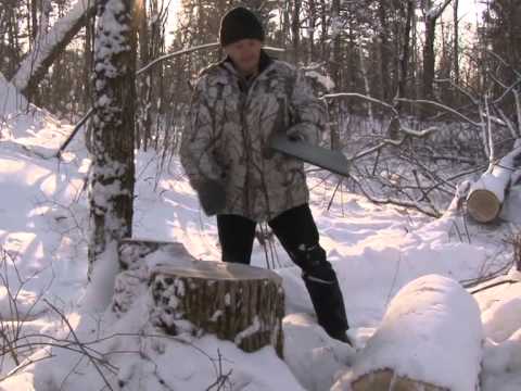 незаконная вырубка деревьев