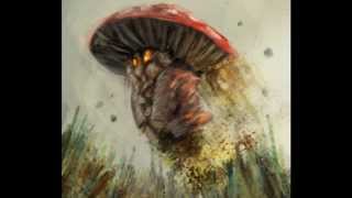 Video thumbnail of "Infected Mushroom - Deck & Sheker"