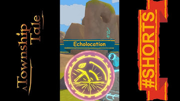 The Beauty of Echolocation | A Township Tale #shorts