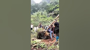 Lever Principle Moves Stone: Teamwork Power!