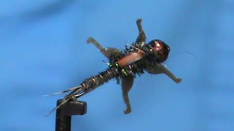 Fly Tying LivelyLegz X Pattern Pheasant Tail with Jim Misiura