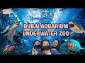 Dubai mall aquarium  underwater zoo  aquatic animals