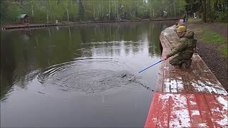 Холодная погода не помеха для рыбалки. Клёвое место. Лосиный остров.