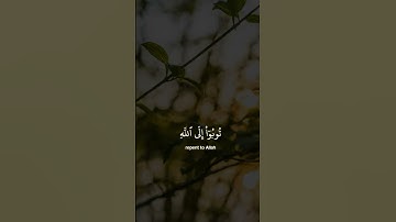 أرح سمعك 🥀القارئ: شريف مصطفى 🍃