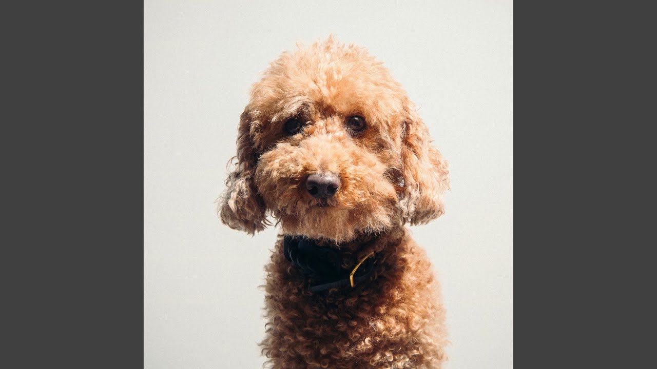 Häuserzeilen pt. 1 auf YouTube ansehen Häuserzeilen pt. 1 auf YouTube ansehen