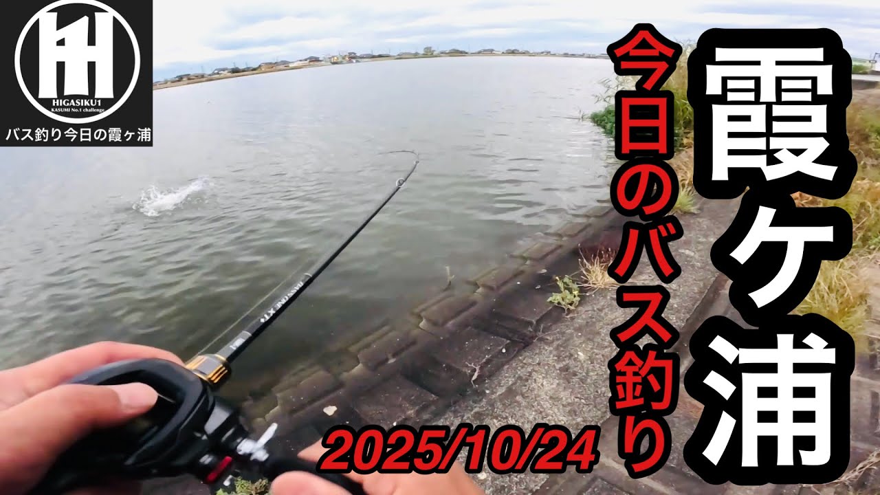 バス釣り今日の霞ヶ浦！デカいの来た⁉︎2025年10月24日